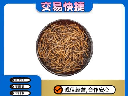 杭州高价回收散虫草